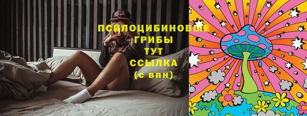 ГАЛЛЮЦИНОГЕННЫЕ ГРИБЫ Абдулино