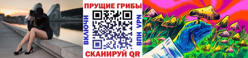 кракен   Алдан  Галлюциногенные грибы Psilocybe  цена наркотик 